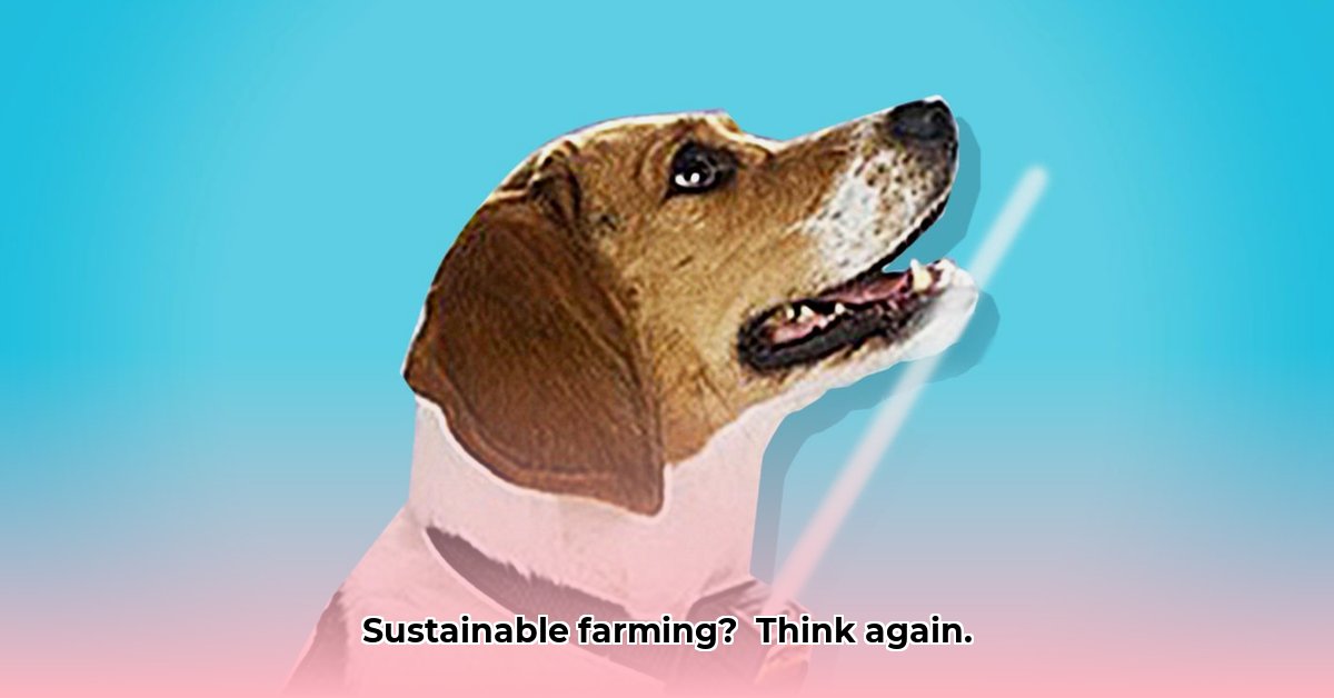 shock-collar-at-tractor-supply